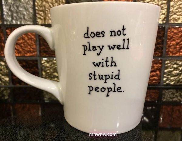 Does Not Play Well With Stupid People Coffee Mug