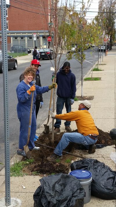 Spring Garden CDC Tree Tenders planting trees on N. 17th St.