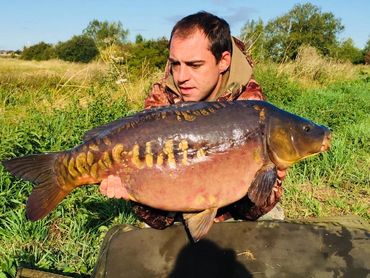 An image of one of our carp caught on Albury & Heron fishing lakes in Cambridgeshire