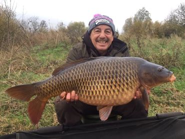 An image of one of our carp caught on Albury & Heron fishing lakes in Cambridgeshire