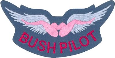 BUSH PILOT