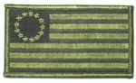 BETSY ROSS FLAG (subdued)