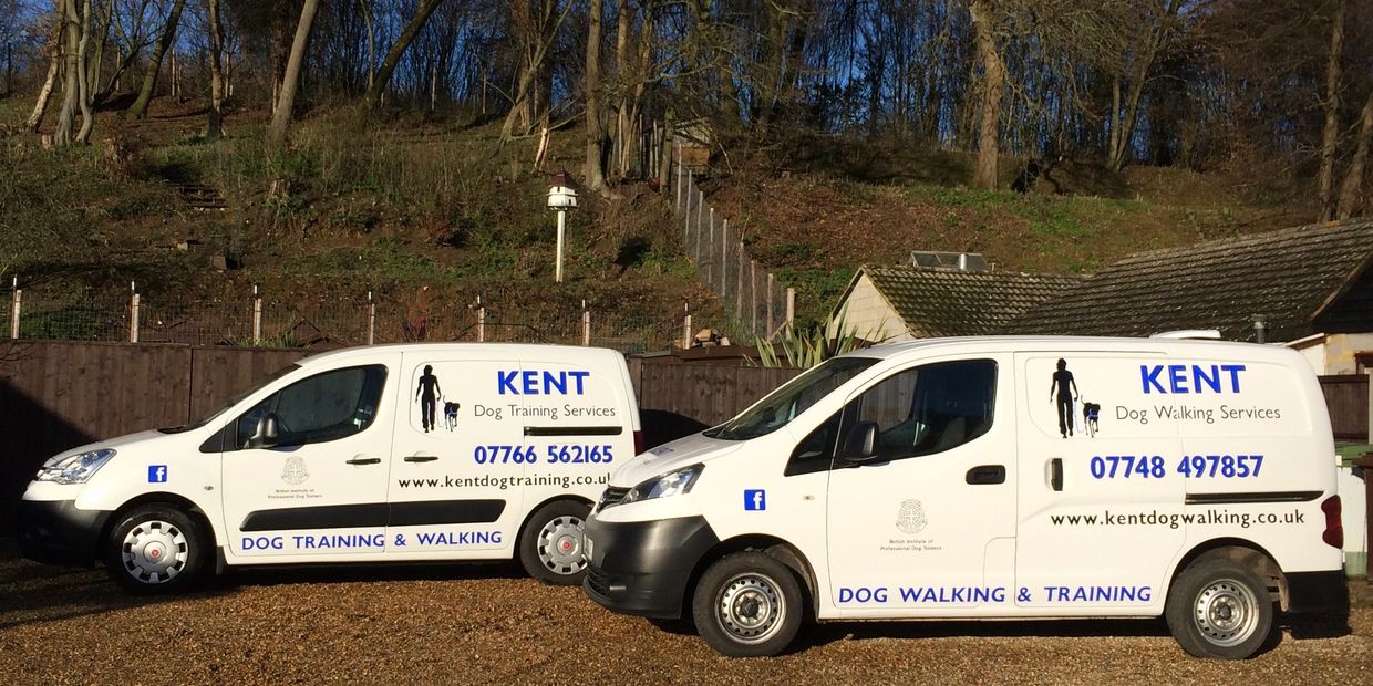 Dog trainer Medway
Dog trainer Chatham
Dog trainer Gillingham
Dog trainer Kent
Dog training Kent
