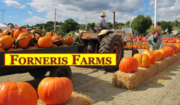 pumpkin patch at forneris farms in mission hills, ca 91345