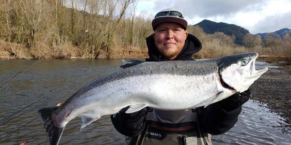 Late Chinook & Coho Salmon Fishing Tips Featuring Nick Popov.