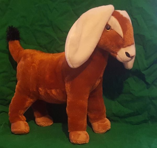 goat stuffy