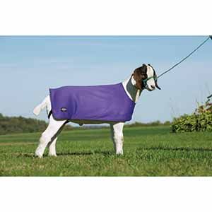 Goat Underblanket | Goat Supplies - The Goat Shop