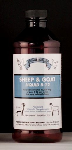 Sheep & Goat Vitamin B-12