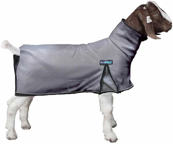 ProCool Goat Blanket