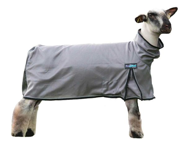 ProCool Sheep Blanket