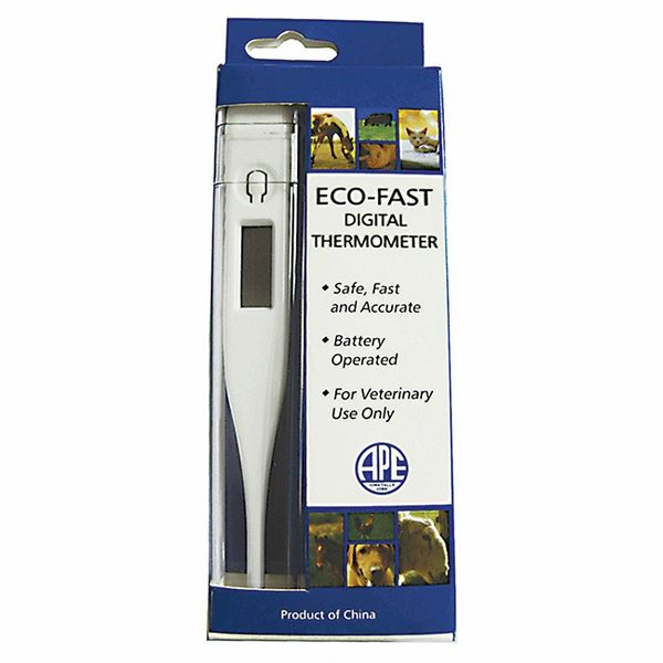 Eco Fast Digital Thermometer