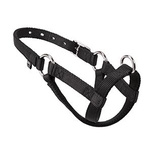 Walking Halter - Small