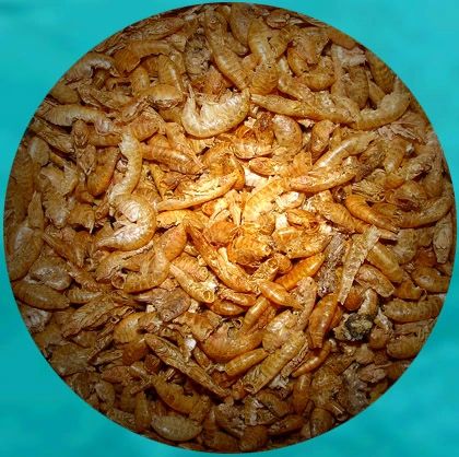 Dried Shrimp Fish Food, Freeze Dried Fish Food