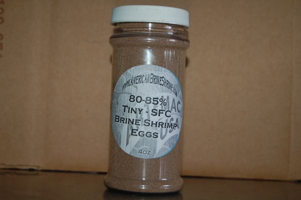 INVE Brine Shrimp Eggs - EG STANDARD