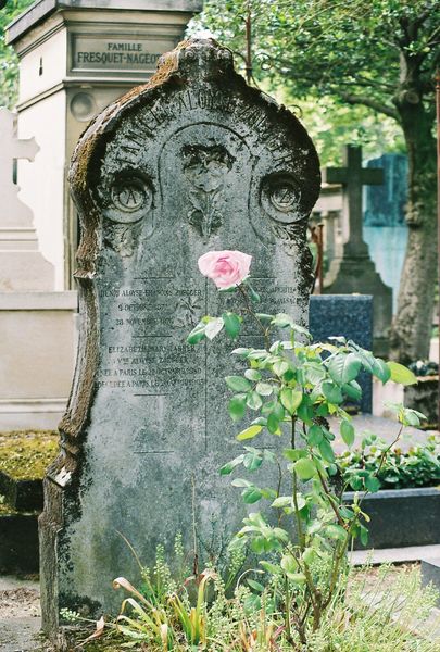 Paris tomb with flower