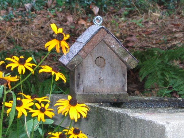 birdhouse