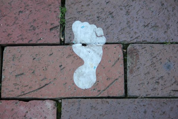 Tar Heel on brick