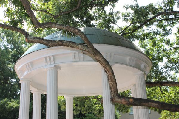 Old Well and branch