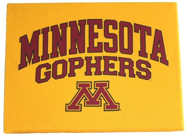 Minnesota Gophers