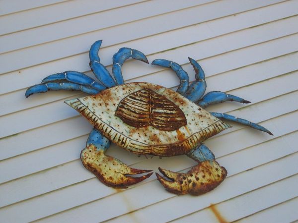 house crab