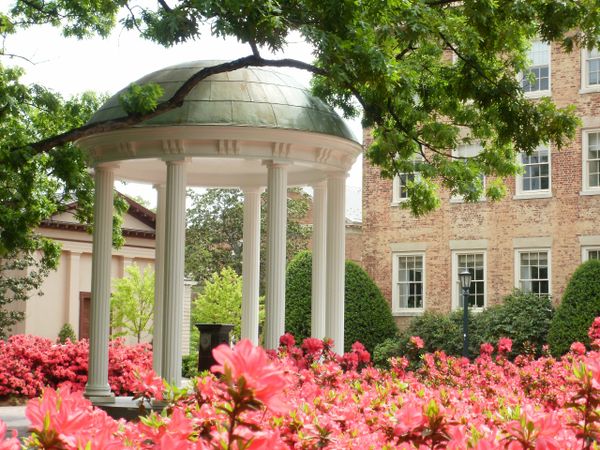 Old Well in spring