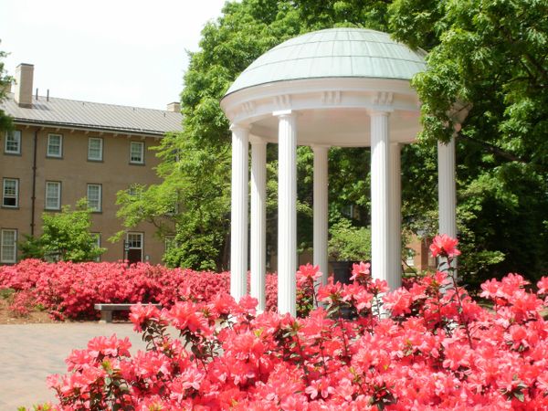 Old Well azaleas