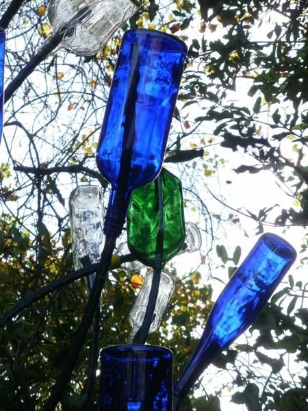 bottle tree