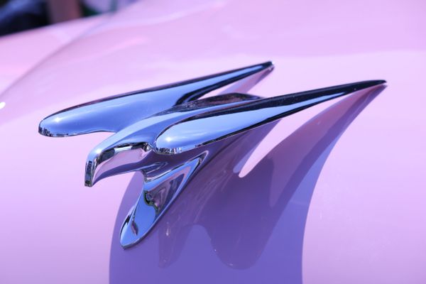 1954 Chrysler La Comtesse emblem