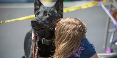 A black German shepherd guarding a young girl.