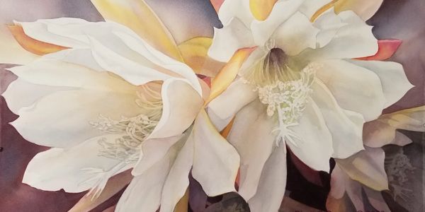 Online watercolor painting courses, how to paint in watercolor, watercolor artist, Birgit O'Connor