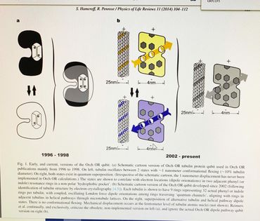 1996-1998 and 2002 interpretations of ORCH OR Tublin Dimers