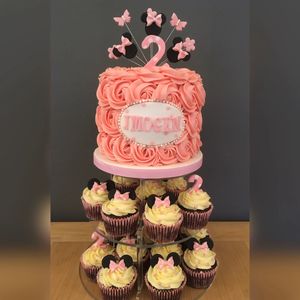 2nd birthday cake with matching cupcakes 