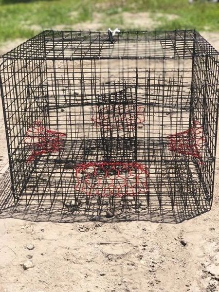 Small Mesh Crab Trap Bait Cage - Glow – Ship to Shore Marine