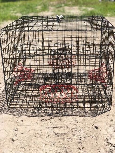 SPORTYs MEGA SUPREME LARGEST CRAB TRAP Size 28x21 w/rope 60 feet *FREE  SHIP