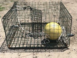 Crab Traps for sale in Indian Shores, Florida