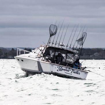 Lake Ontario fishing charter on Yankee Troller