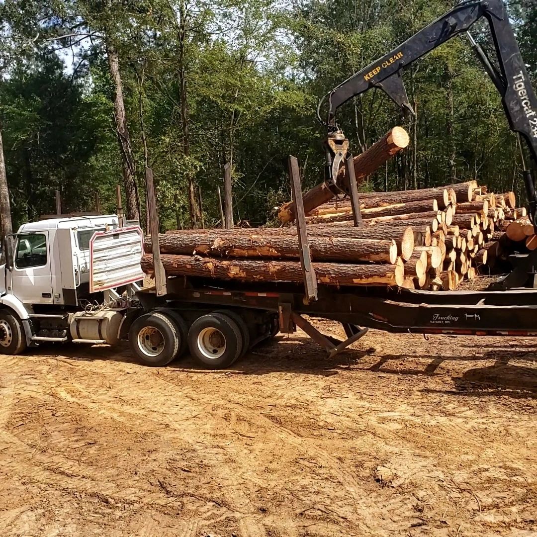 T&T LOGGING, LLC - Logging Services - Edwards, Mississippi