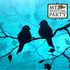 Love Birds