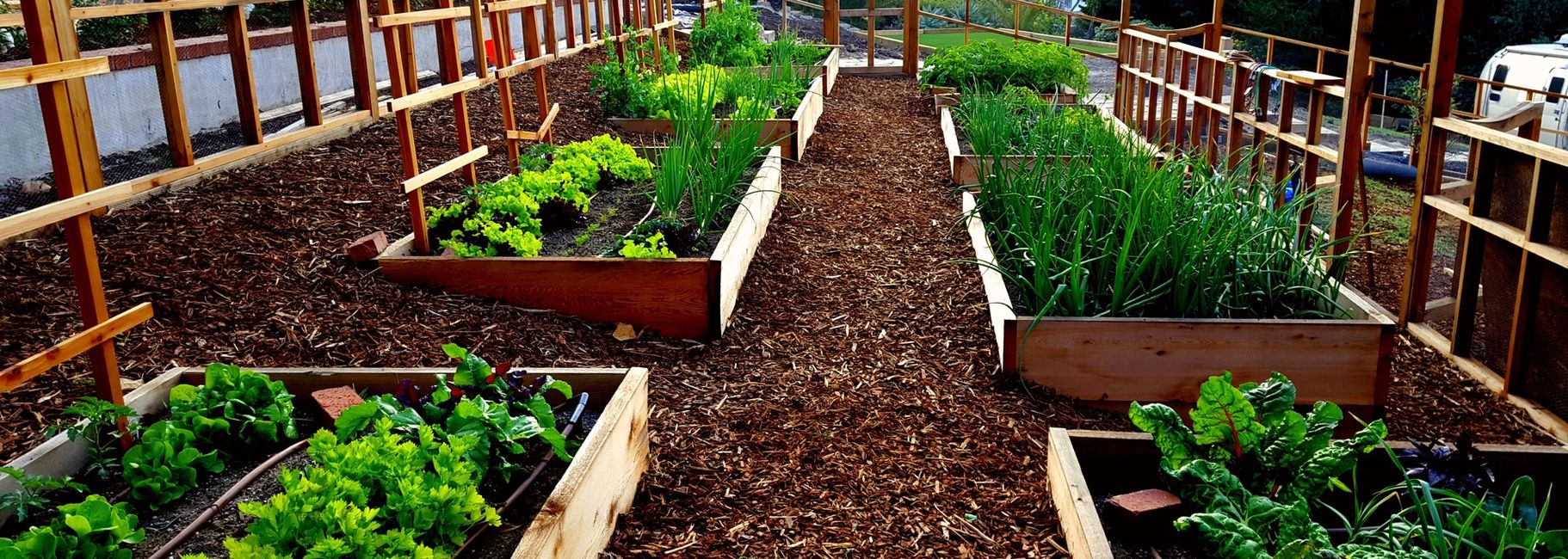 Organic vegetable gardens in Malibu, CA