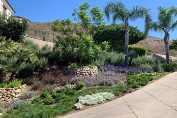 Fire resistant landscaping in Malibu, CA