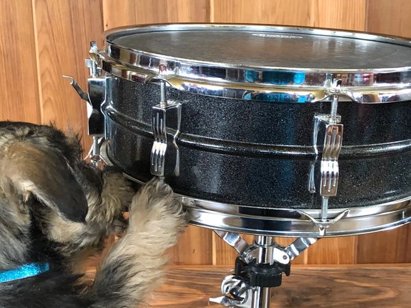 Ludwig blackrolite deals