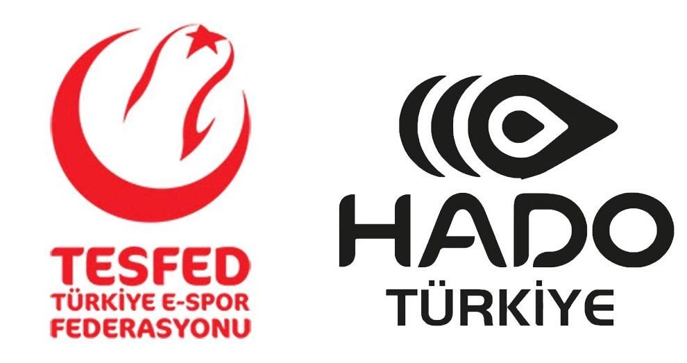 TESFED , BRANŞ, HADO , SPOR, TEKNOSPOR