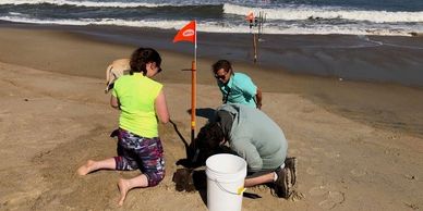 R Housego (L), B Raubenheimer (C), and L Gorrell (R)  burying pressure sensors at Duck NC, Sep 2019.