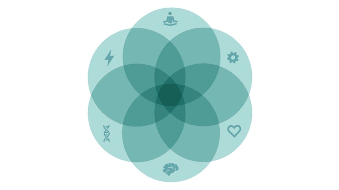 A series of six Interlinking circles, each containing one of the following symbols: lightning bolt, meditating man, heart, brain, DNA sequence, and a gear.