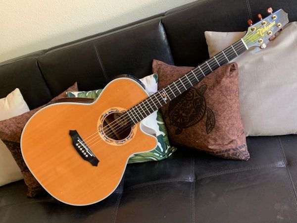 SOLD: 2001 Takamine Limited Edition Dolphins