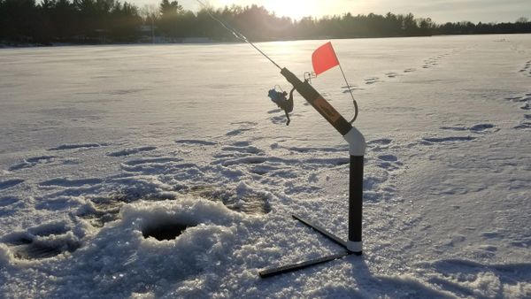 Finicky Fooler vs. I Fish Pro 2.0? - Ice Fishing Forum - Ice Fishing Forum