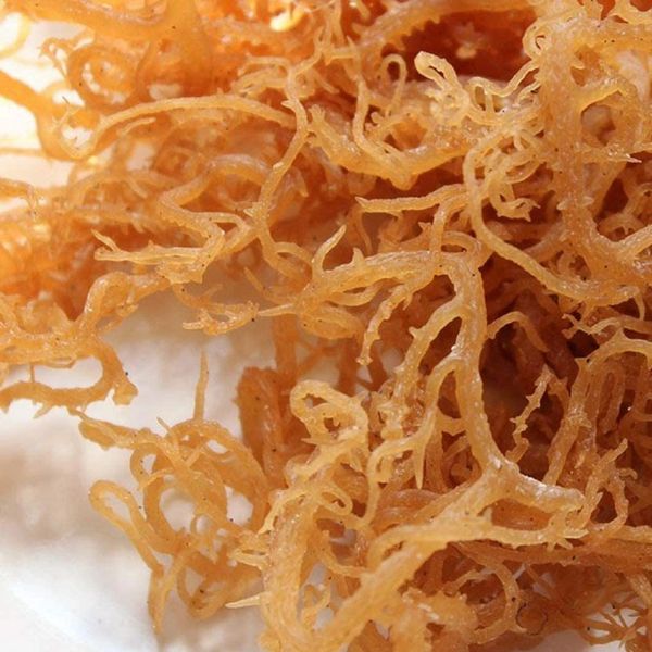 Irish moss что это