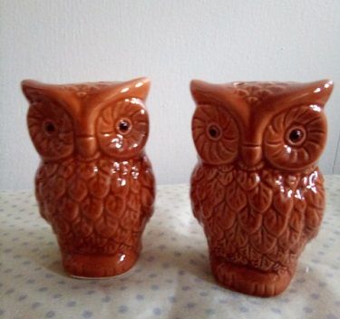 Owl Salt and Pepper Shakers