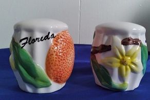 Florida Salt and Pepper Shakers