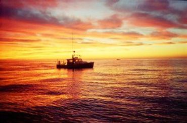 A boat sailing on water and the sunset